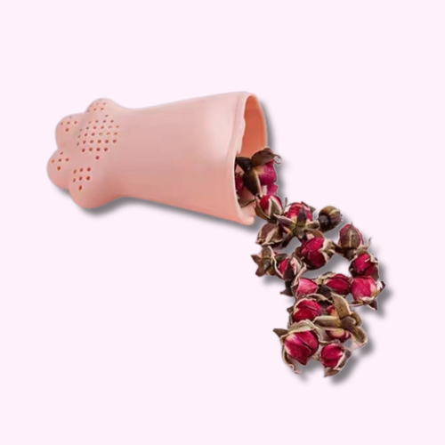 Bouteille Gourde Kawaii avec Filtre à Infusion